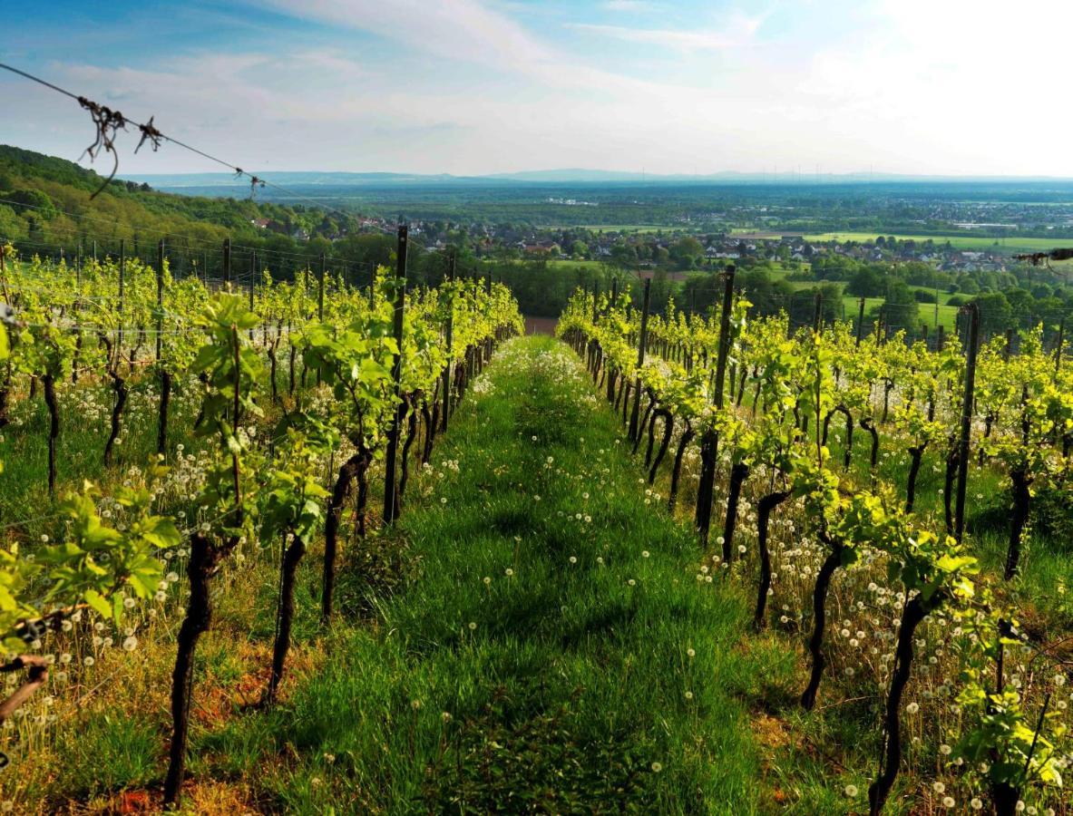 Weinmotel Simon 1 A Alzenau Bagian luar foto